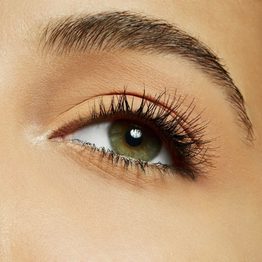 Eyeshadow Compact